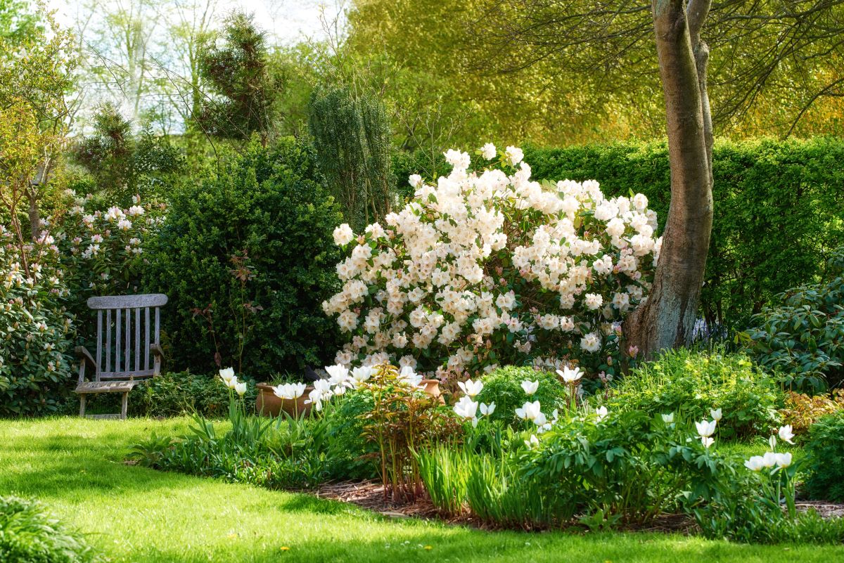 Ruhe im eigenen Garten — der Rückzugsort in Calw und Umgebun